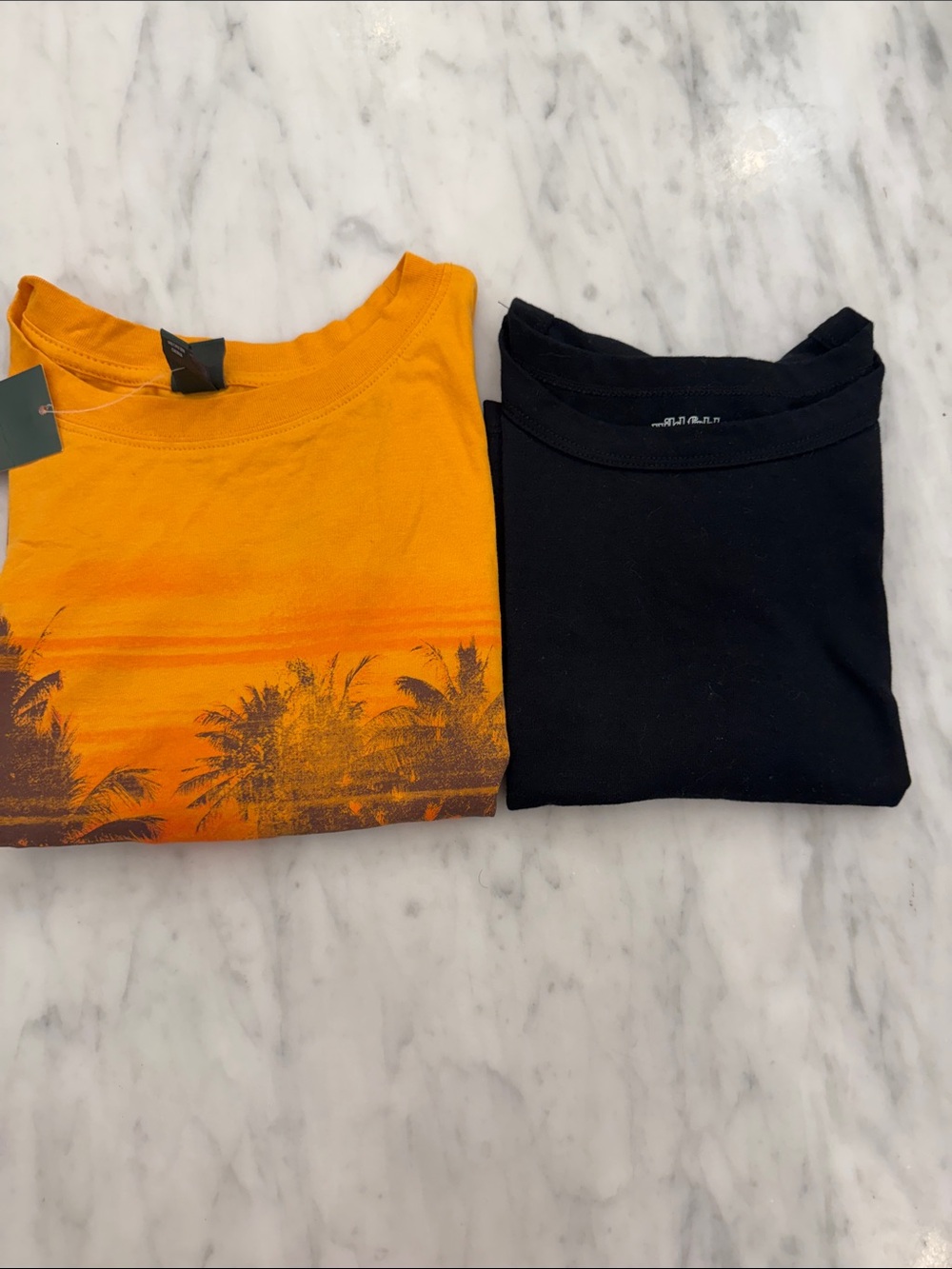 NWT WILD FABLE BUNDLE OF 2 crop tops~Palm tree & Black